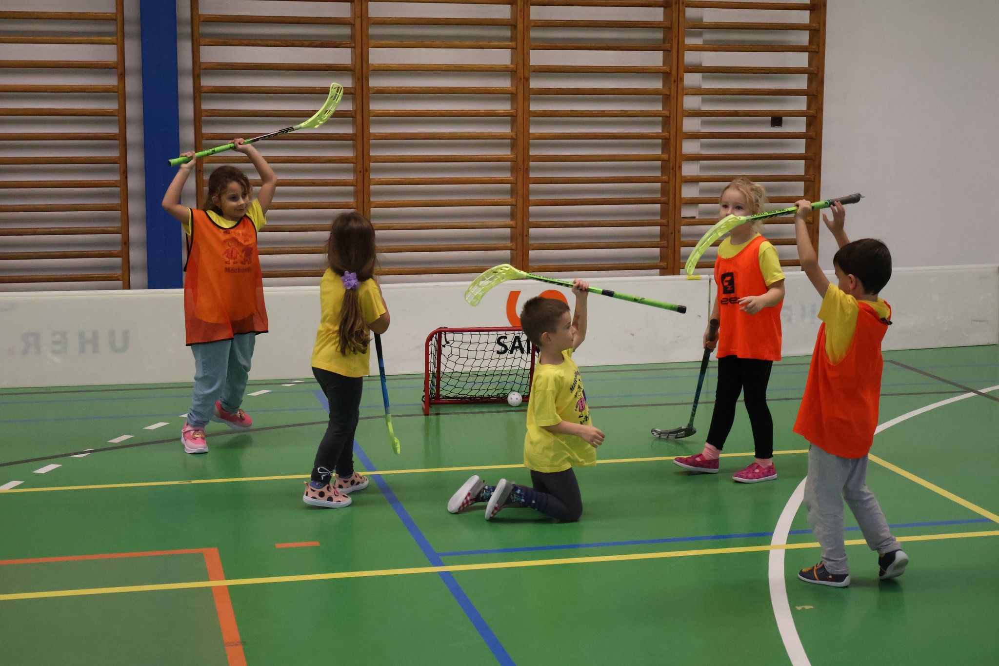 Lvíčkyjáda:"florbalový turnaj mateřských škol"