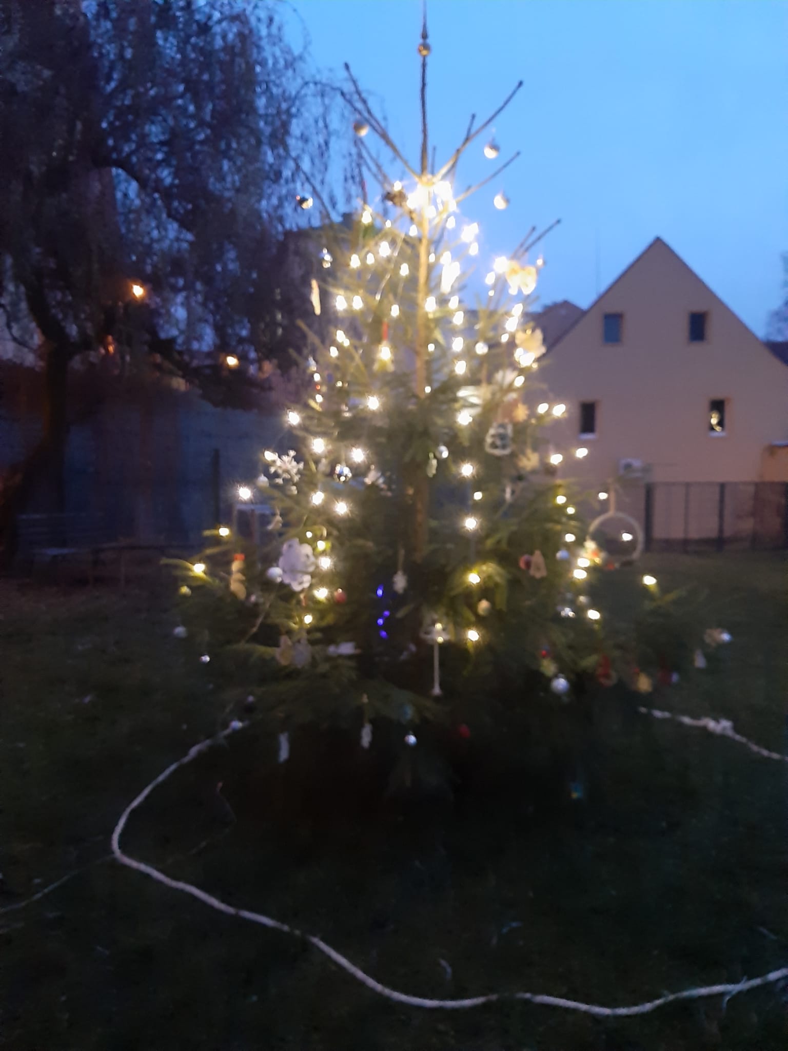 Rozsvícení vánočního stromečku